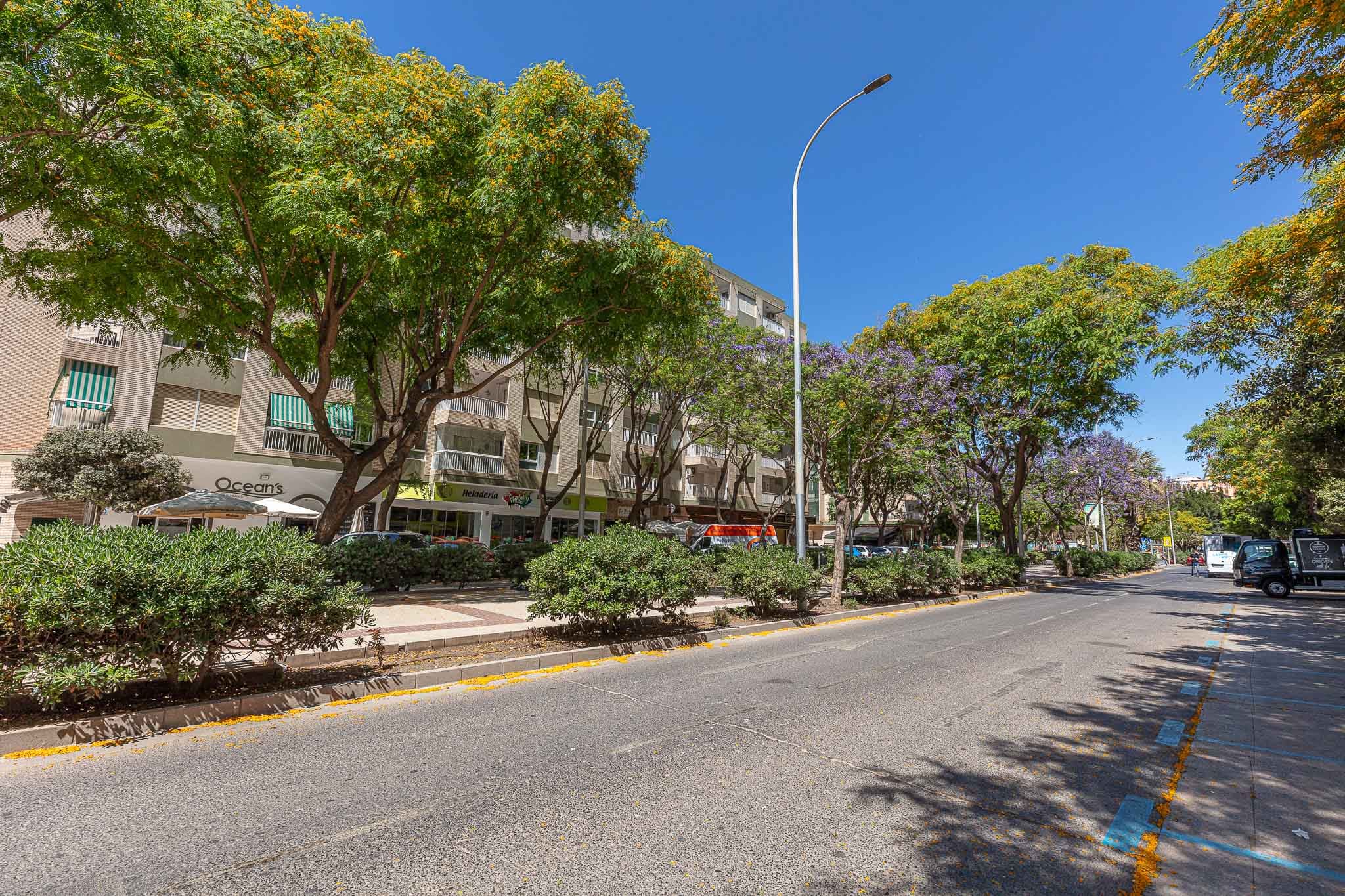 imagen apartamentos lola