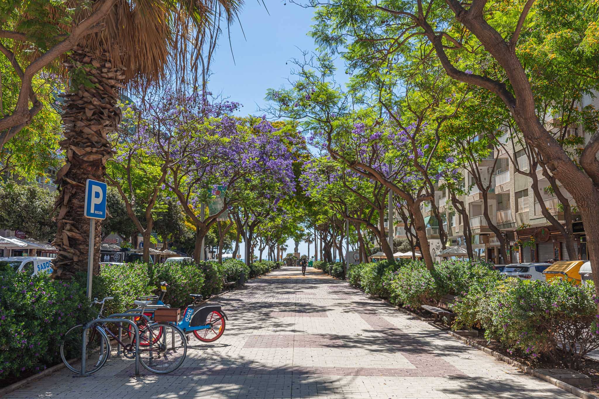 imagen apartamentos lola