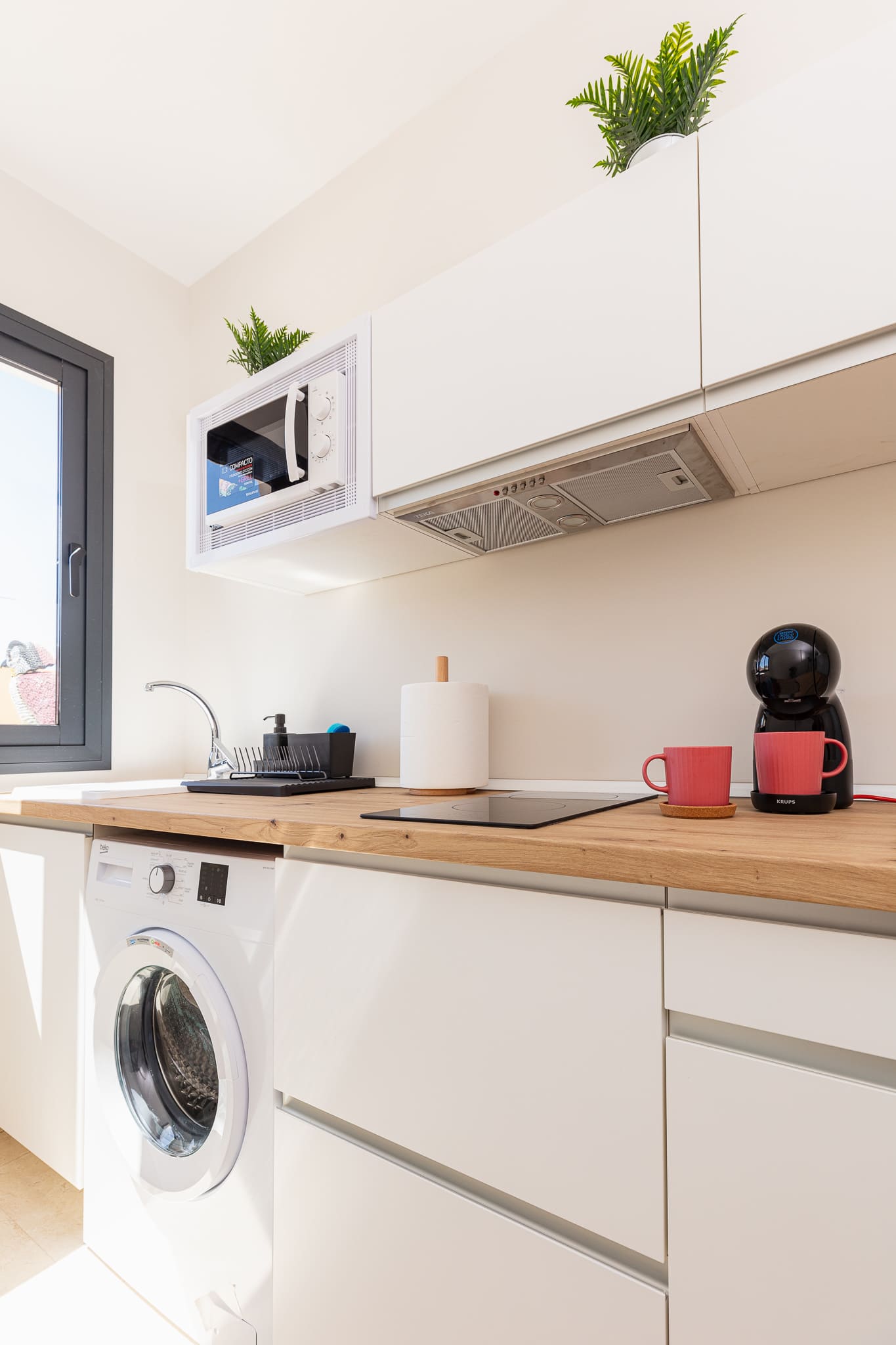 imagen apartamentos lola