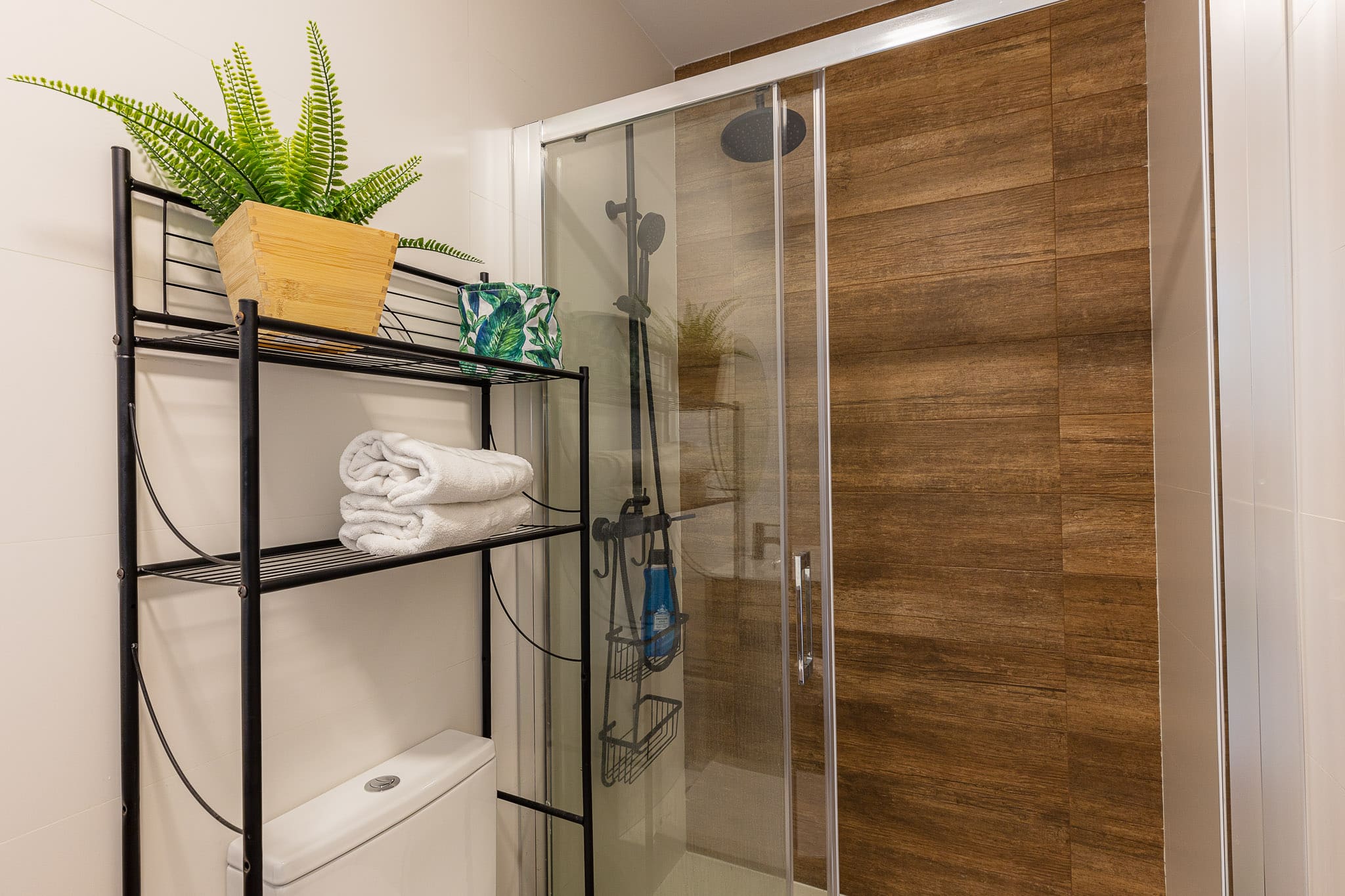 imagen apartamentos lola