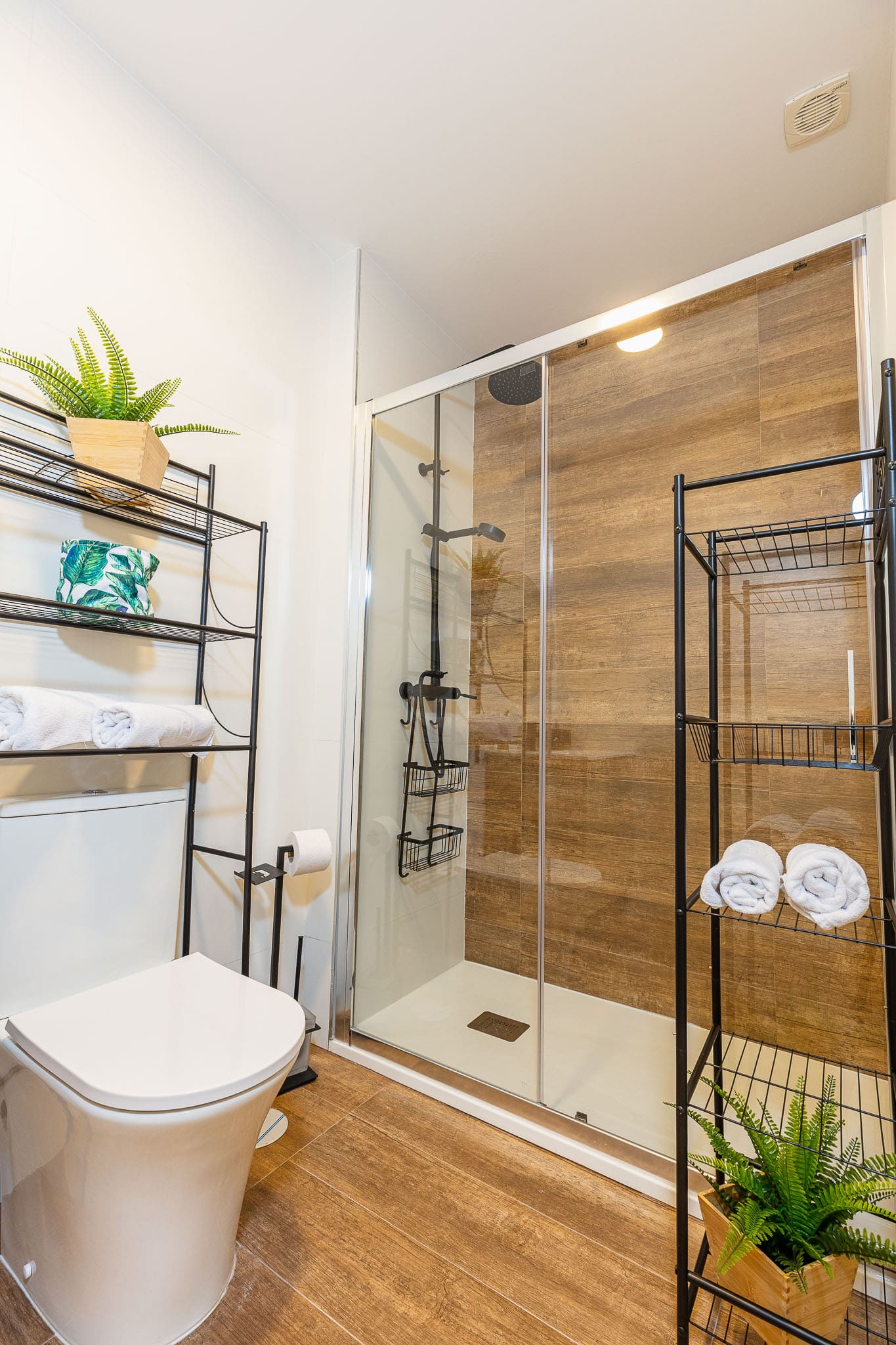 imagen apartamentos lola