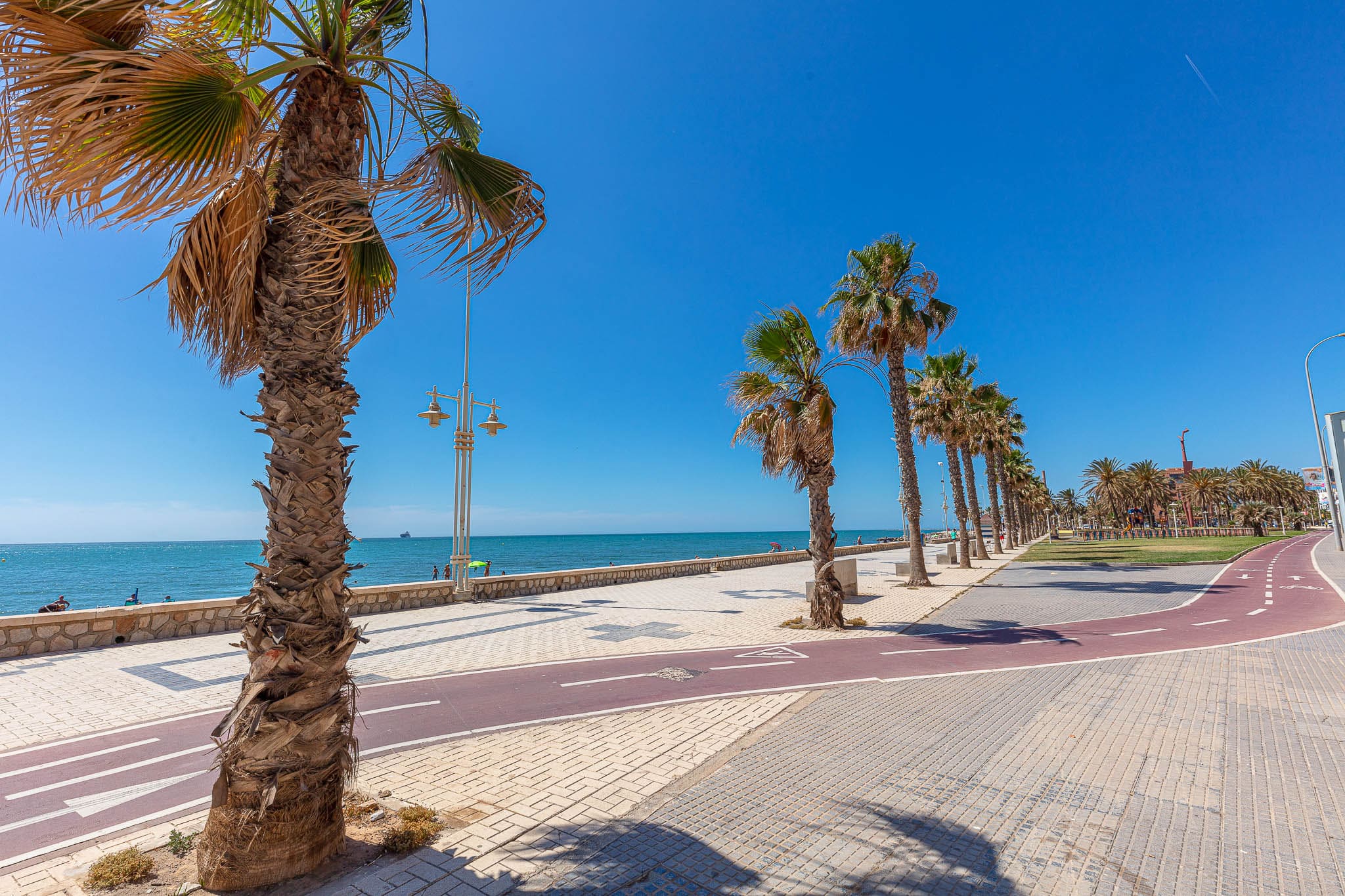 imagen apartamentos lola