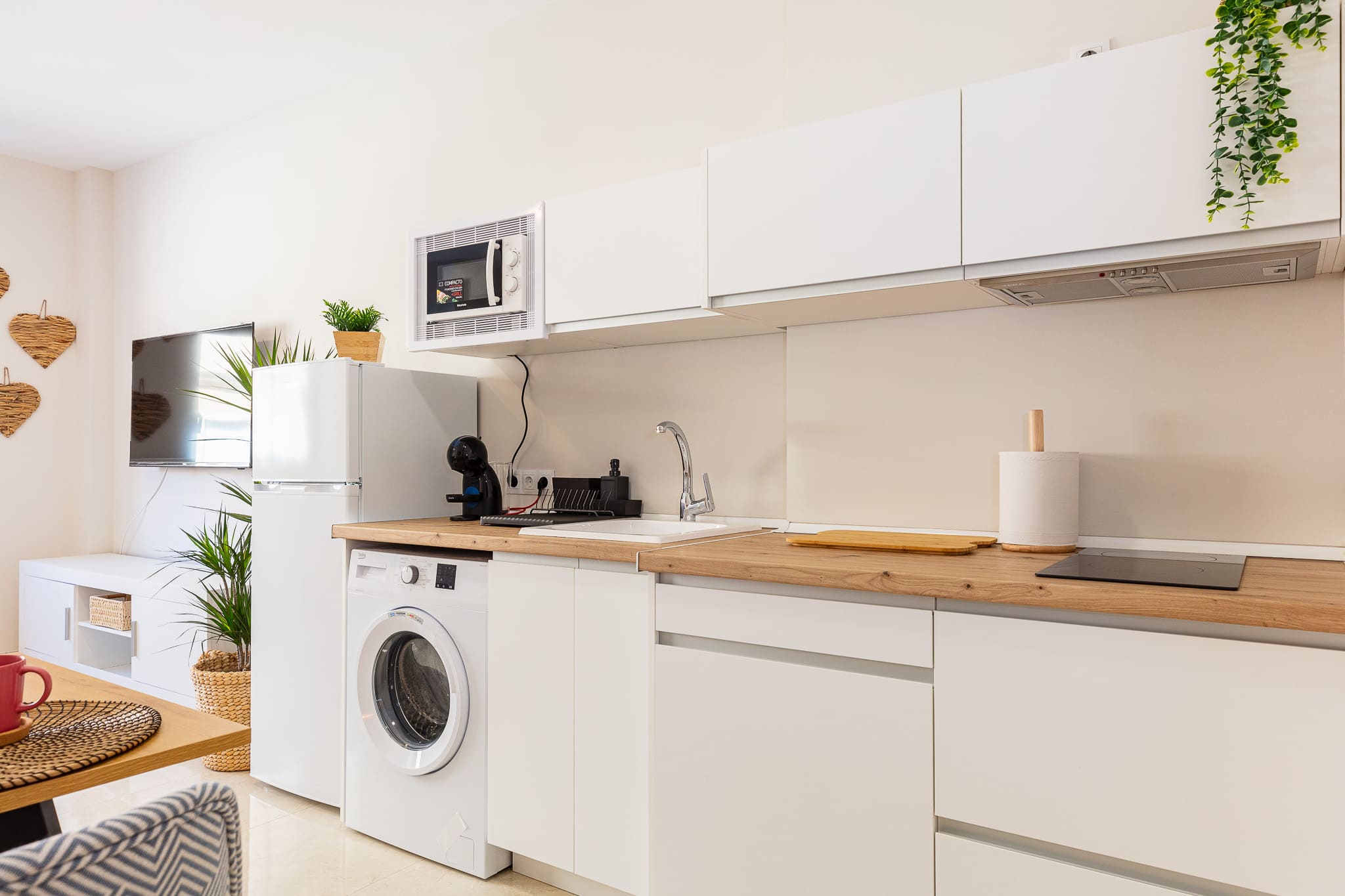 imagen apartamentos lola